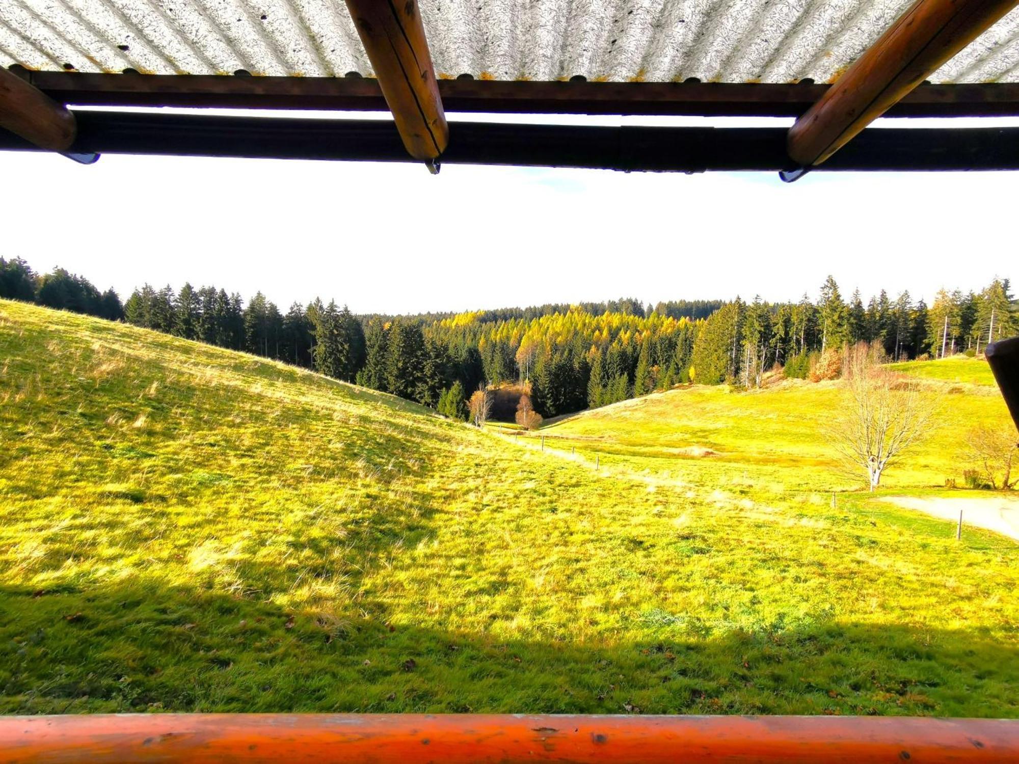 Ferienwohnung Am Bergmannsbrunnen Schönheide Eksteriør bilde